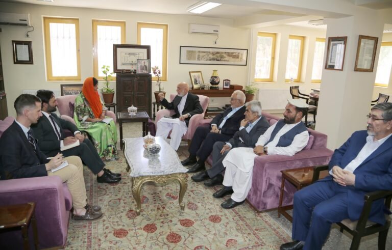 کرزی:په هېواد کې د تلپاتې سولې او ثبات لپاره ملي تفاهم اړین دی