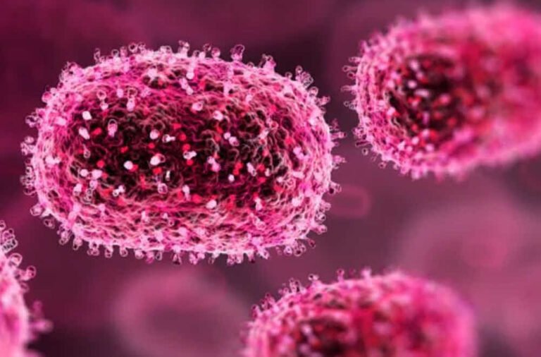 خیبر پښتونخوا کې؛د ام پوکس ناروغۍ درې نوې پېښې ثبت شوي