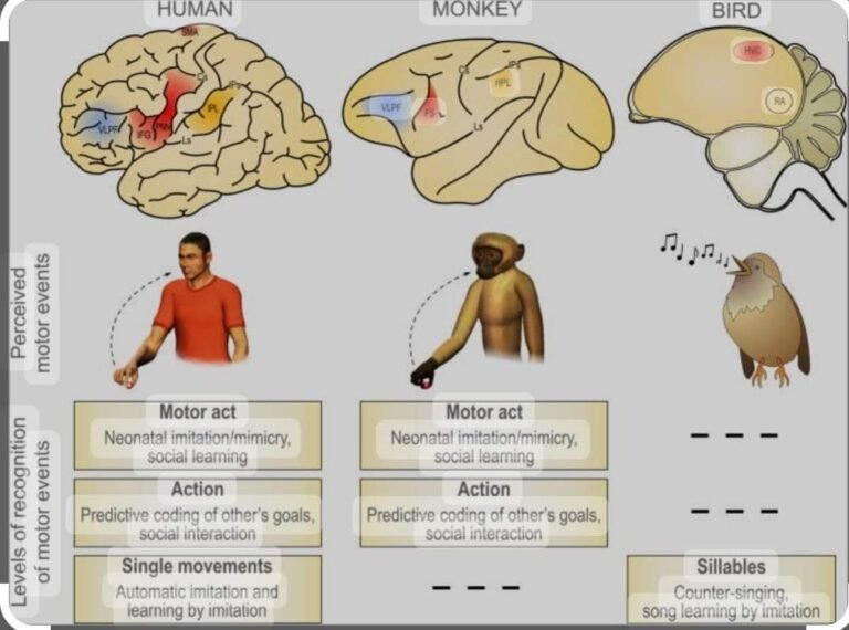 موږ او ژبه مو