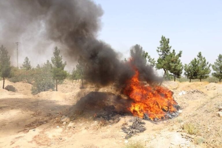 د طالبانو حکومت؛پروان کې د موسیقۍ الې سوځولي