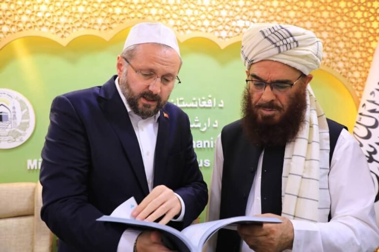 ثاقب:اسلامي هېوادونه دې د مسلمانانو د ستونزو حلولو لپاره کار وکړي