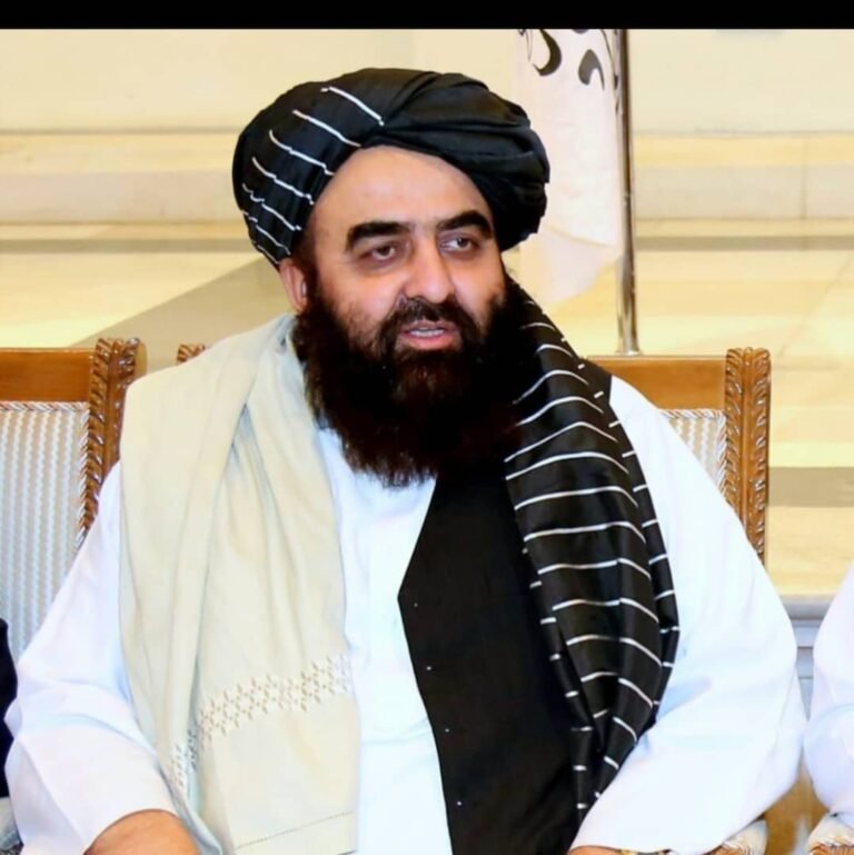 امیرخان متقي؛کامیرون جمهوریت ته په رسمي سفر لاړ