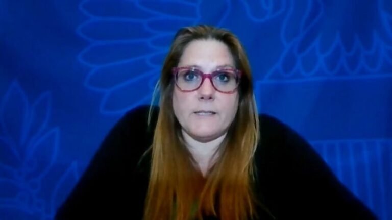 ډېکر:د افغان ښځو ملاتړ ته دوام ورکوو