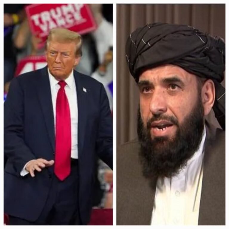 سهیل شاهین:ټرمپ د خبرو نه؛ بلکې د عمل سړی دی