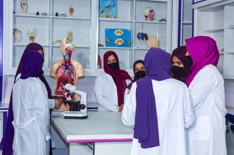 اسلامي نظامونه او «جز نه کل ته» روشونه