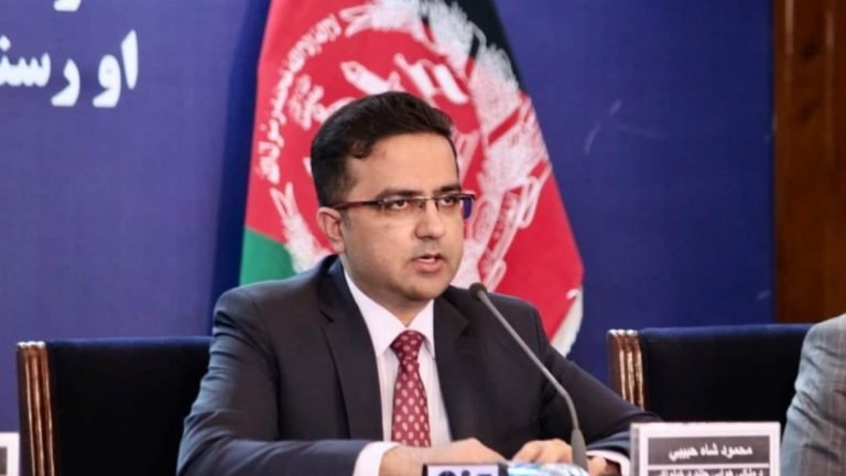 د امریکا او طالبانو حکومت ترمنځ؛د بندیانو تبادله کې د محمود شاه حبیبي برخلیک لاهم نه دی معلوم