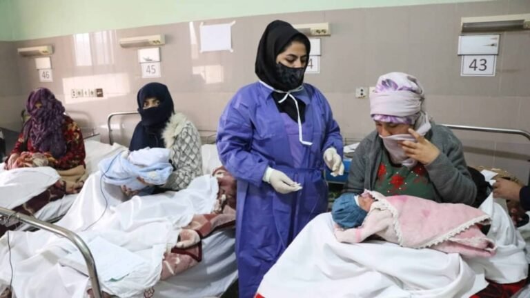 ایراني چارواکي:۷۰۰ افغان متخصص ډاکټران ایران کې فعالیت کوي