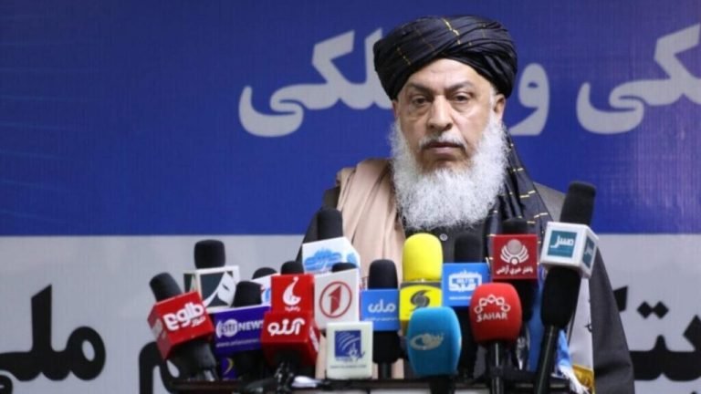 د طالبانو پر حکومت؛د عباس ستانکزي نیوکې د نړیوالو رسنیو د بحث ټکی ګرځېدلی