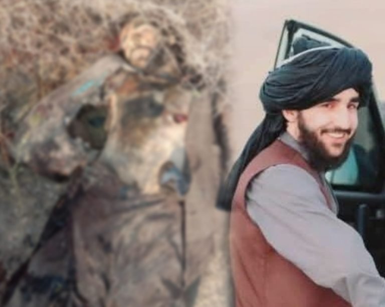 سرچینې:د بادغیس لپاره د طالبانو د مرستیال والي زوی خیبر پښتونخوا کې د پاکستاني پوځیانو په عملیاتو کې وژل شوی