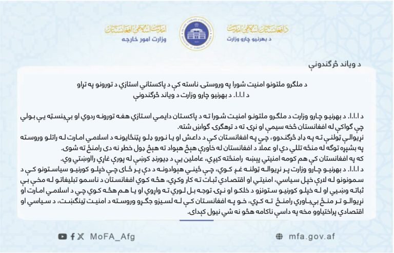 د طالبانو حکومت منیر اکرم ته:افغانستان کې ترهګرې ډلې نشته، خپلې کورنۍ کشالې پرموږ مه تپئ