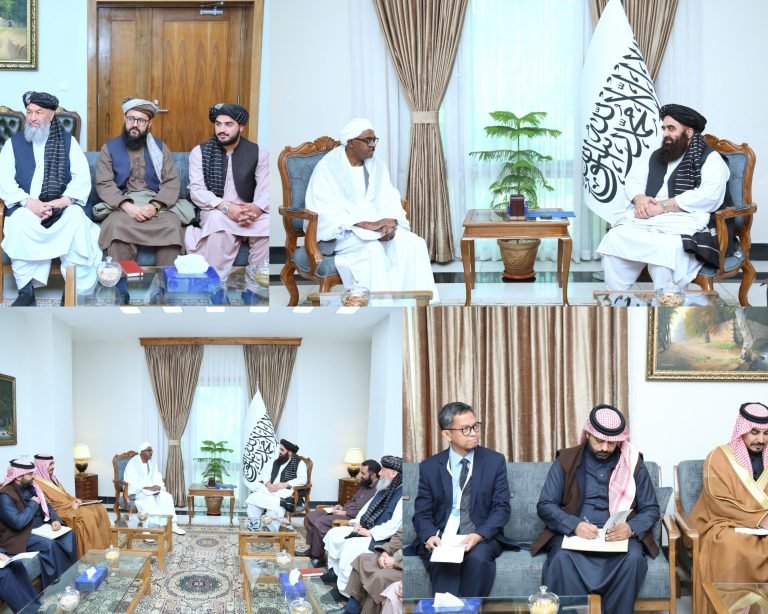 امیرخان متقي بخیت ته:نړۍ دې واقیعتونه په خپلو سترګو وګوري؛ د بهرنیو رسنیو په تبلیغاتو باید باور ونشي