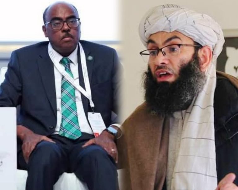 طارق بخیت د امر بالمعروف وزیر خالد حنفي ته:ستاسو فعالیتونه د ټولنې یوه جدي اړتیا وه، موږ درسره د لا تقویې همکارۍ ته دوام ورکوو