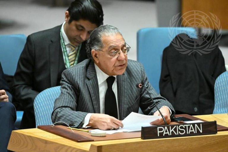 ملګرو ملتونو کې د پاکستان دایمي استازی:په افغانستان کې د ټي‌ټي‌پي غړي او نورې ترهګرې ډلې هڅه کوي چې پاکستان بې‌ثباته کړي