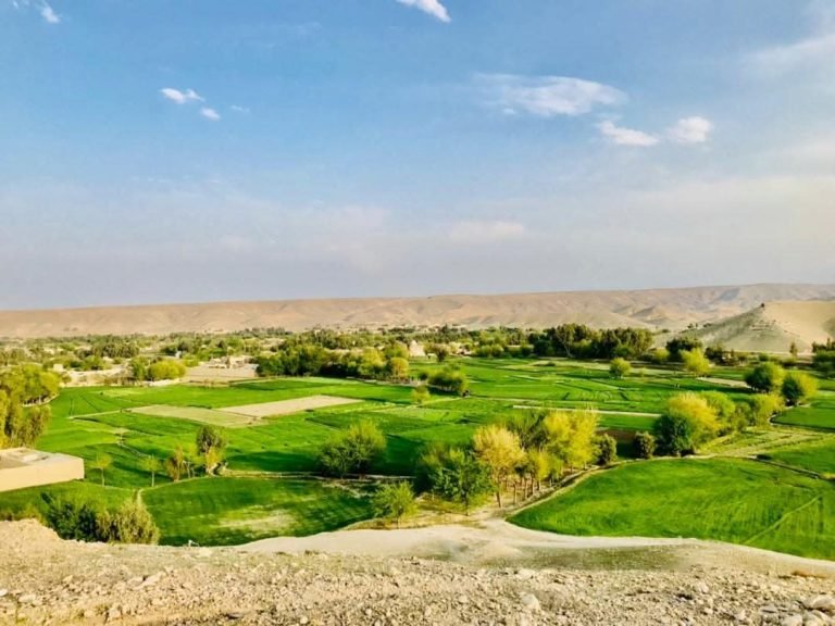 ننګرهار ـ رودات؛یو پلار خپله ۱۶ کلنه لور یو سپین ږیري ته د جبري نکاح، له انکار وروسته، په ډزو وژلې