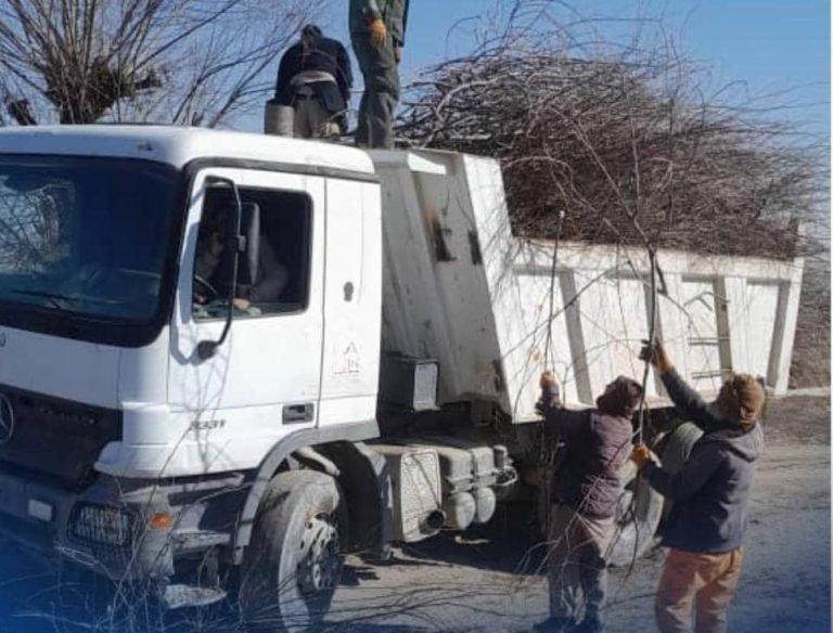د کابل د کرنې اوبو لګولو او مالدارۍ ریاست:د قوش تېپې کانال شاوخوا د زرغونتیا لپاره مو د سنځلو تر ۴۰۰ زرو زیات نیالګي راټول کړي