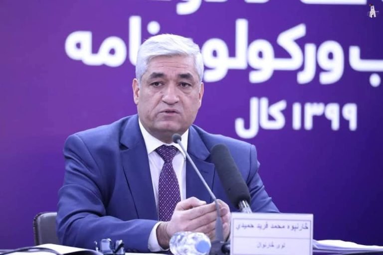 محمد فرید حمیدي:د کابل او کندهار واکمنان د سمې پر ځای په کږه ولاړ دي