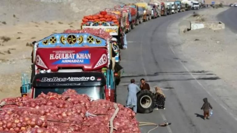 د طالبانو د صنعت او سوداګرۍ وزارت:تیر کال ایران ته ۱۸ زره ټنه کرنیز محصولات صادر شوي