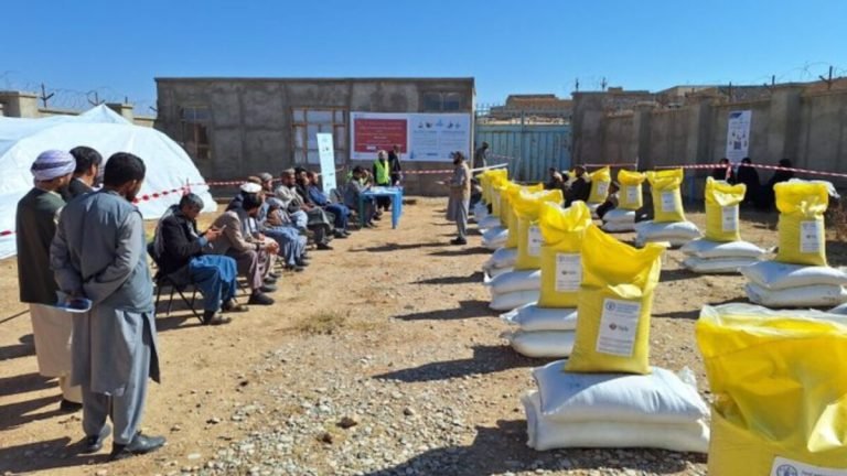 د ملګرو ملتونو د خوړو او کرنې اداره:غور کې مو کروندګرو ته تخمونه او کیمیاوي سرې ووېشلې