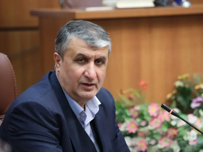 د ایران د اټومي انرژۍ د سازمان مشر:لوېدیځوال یورانیم غني‌کول یوازې د ځان حق ګڼي