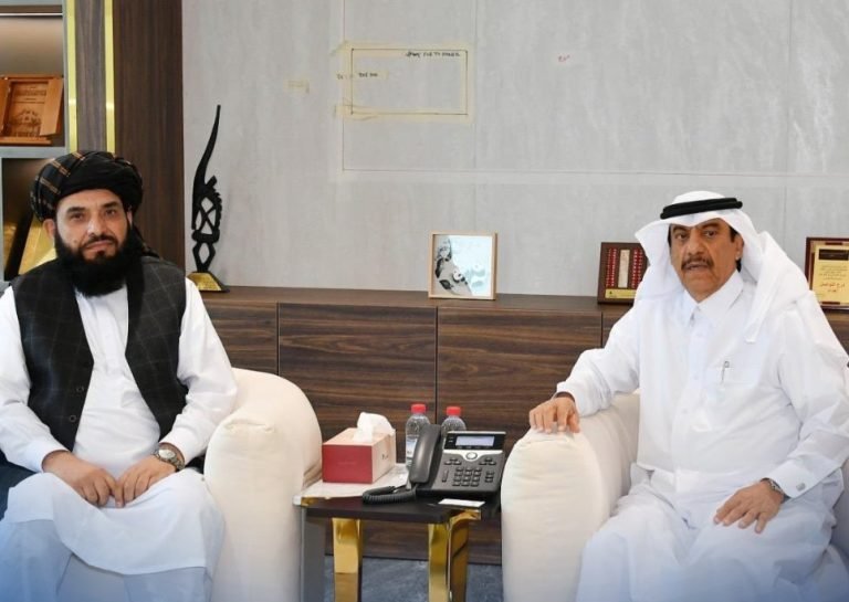 سهیل شاهین؛د قطر د سوداګرۍ له رییس سره د سوداګریزو اړیکو پر پراختیا خبرې کړې