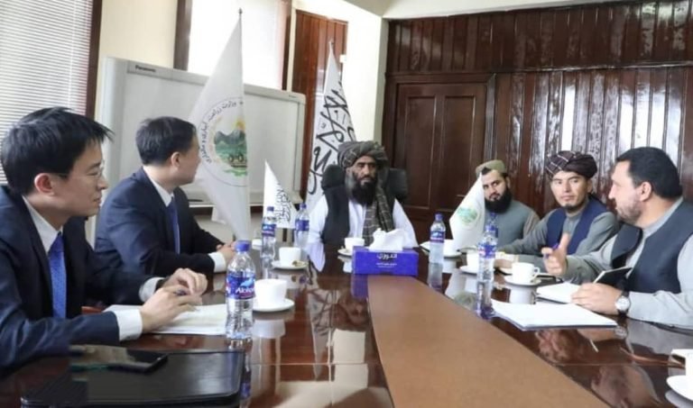 چین؛د افغانستان د کرنې په برخه کې درې سړې خونې جوړوي