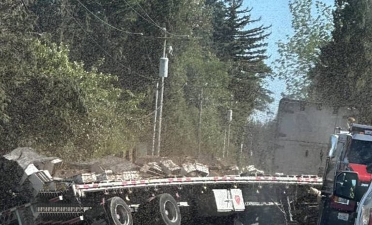 واشنګټن؛د مچیو لارۍ د چپه کېدو له امله خلکو ته د ځان ساتنې خبرداری ورکړل شوی