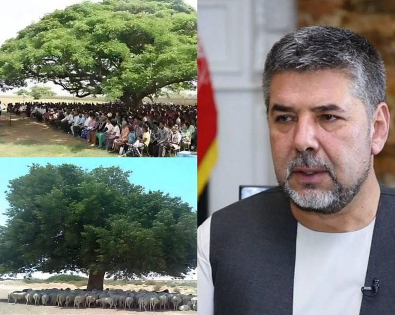 رحمت‌الله نبیل:طالبان غواړي ملت د پسونو پڅیر بې احساسه وساتي