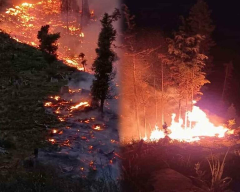 کونړ؛څوکۍ ولسوالۍ کې ۳۰ هکټاره ځنګل سوځېدلی