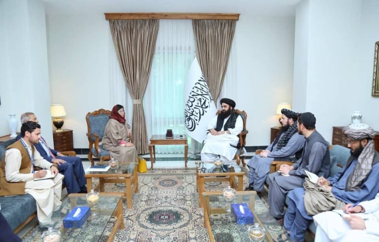 امیرخان متقي؛د یوناما له مشرې سره د افغانانو د ستونزو او پانګونې په اړه غږېدلی