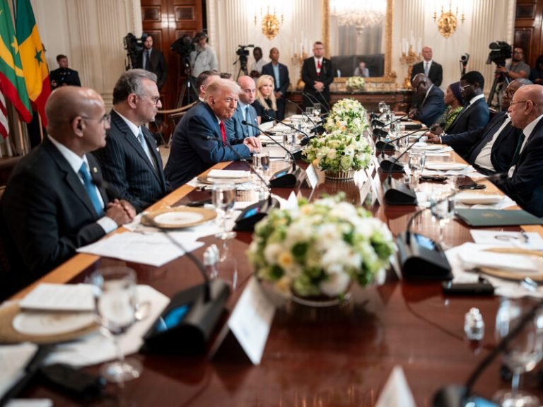 ډونالډ ټرمپ:له افریقا سره به مرسته نه، بلکې سوداګري کوو