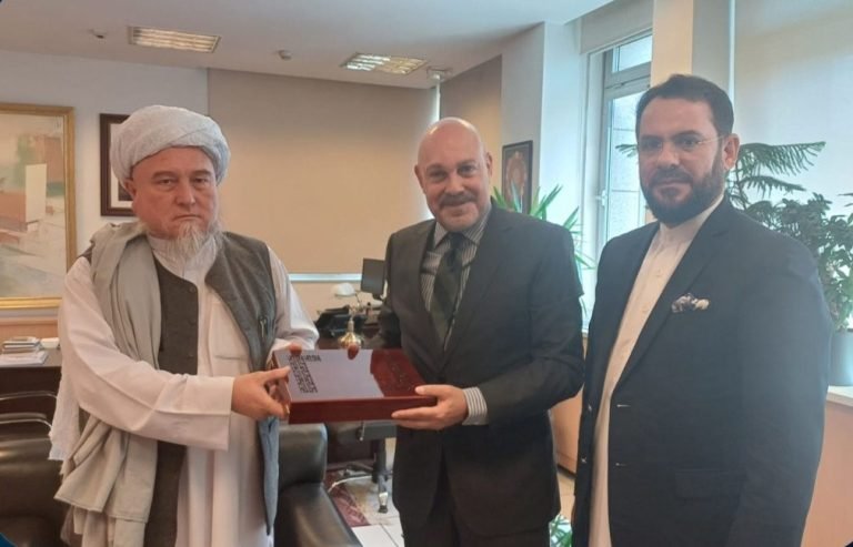 انقره کې؛د طالبانو حکومت نوي سفیر خپل باور لیک ترکي چارواکو ته وسپاره