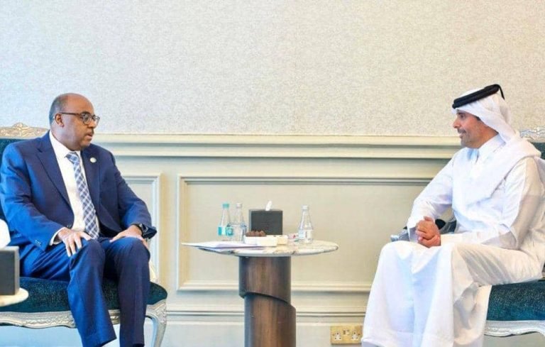 د اسلامي همکاریو سازمان او قطر؛د افغانستان پر وروستیو تحولاتو خبرې کړې