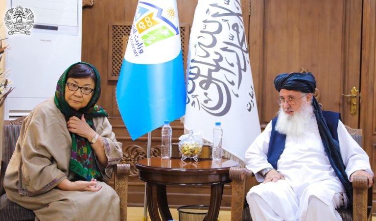 روزا اتونبایووا؛د طالبانو حکومت د اقتصاد وزیر سره د راستنېدونکو او اقتصادي مرستو په اړه خبرې کړې