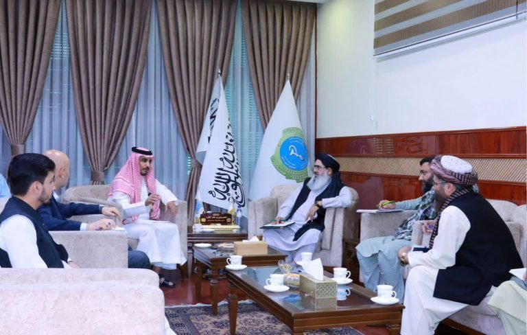 د اسلامي همکاریو سازمان؛د طالبانو حکومت روغتیا وزارت سره د دوامداره مرستو ژمنه کړې