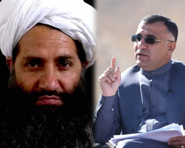 حلیم فدايي:شیخ هبت‌الله له حکومت څخه د سرپرست کلیمې په لرې کولو سره هغو سیاسونو ته پیغام ورکړ، چې د ونډې خوبونه یې لیدل