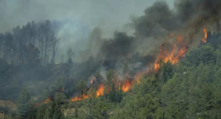 فرانسه کې؛د اورلګېدنې له امله یو تن مړ او نهه نور ټپیان دي