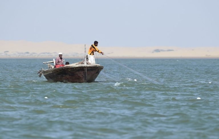 عمان؛۲۲ پاکستاني کب نیونکي سمندر کې ډوب شوي