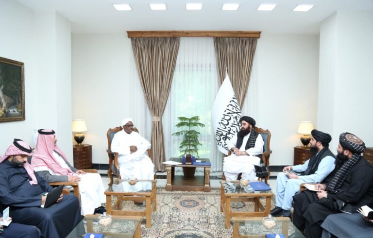 امیرخان متقي؛د اسلامي همکاریو سازمان له استازي سره د کابل–اسلام‌اباد د اړیکو او کډوالو په اړه خبرې کړې