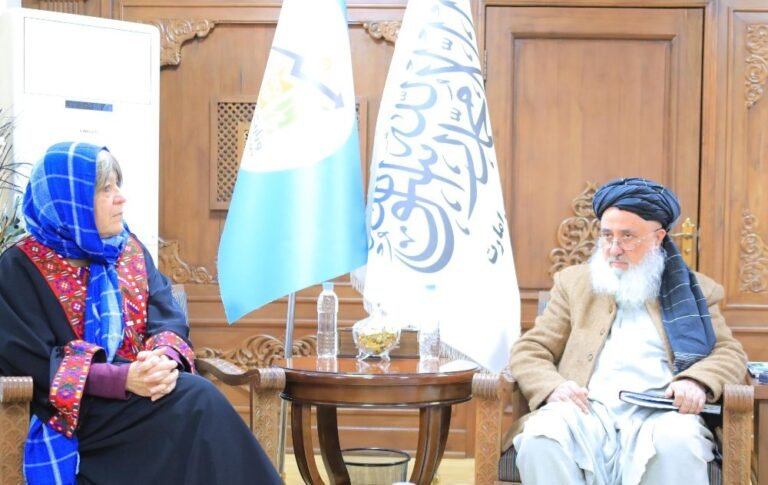 د طالبانو حکومت د اقتصاد وزیر؛د «مرسي کرېپس» له استازو سره د ګډو همکاریو پر پراخېدو خبرې کړې