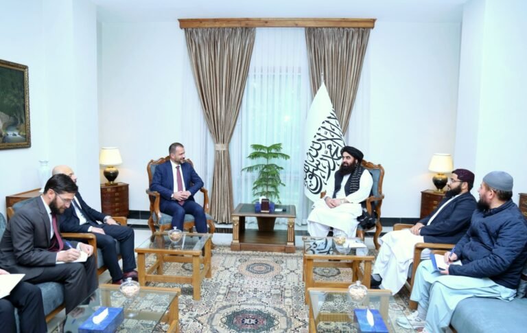 امیرخان متقي؛د ترکیې له روانېدونکي دیپلومات سره د مخه‌ښې لیدنه ترسره کړه