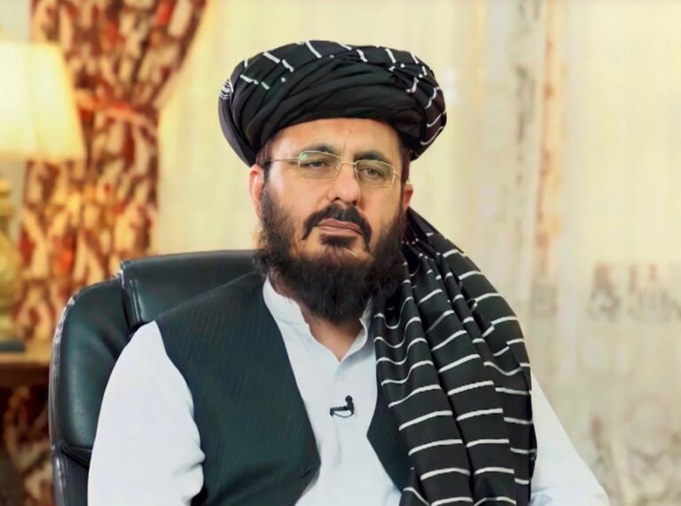 محمد نبي عمري:د ځنګلونو غیرقانوني وهل پراخ شوي، ساتنه یې ملي مسوولیت دی