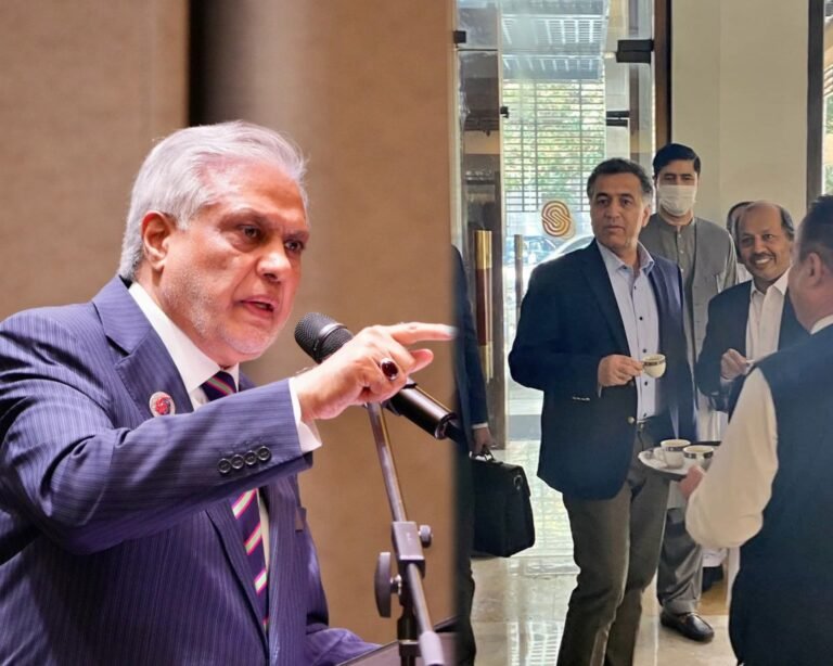 د پاکستان د بهرنیو چارو وزیر:په ۲۰۲۱ کال کې کابل کې د چای پیالې څښل موږ ته په لوړه بیه تمام شو