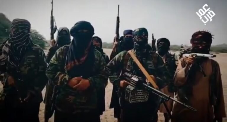 پاکستان؛د پنجاب لپاره د ټي‌ټي‌پي مشر عمر معاویه په دغه ایالت کې د وسله وال حضور اعلان کړ