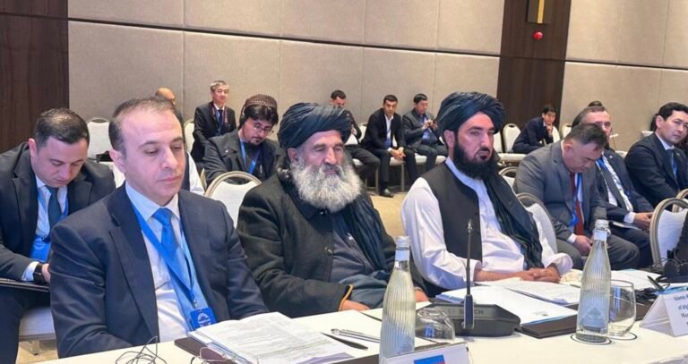 د طالبانو حکومت؛د نشه‌يي توکو پر ضد د مبارزې معین له نړیوالو د سیمه‌ییزې همکارۍ غوښتنه کړې