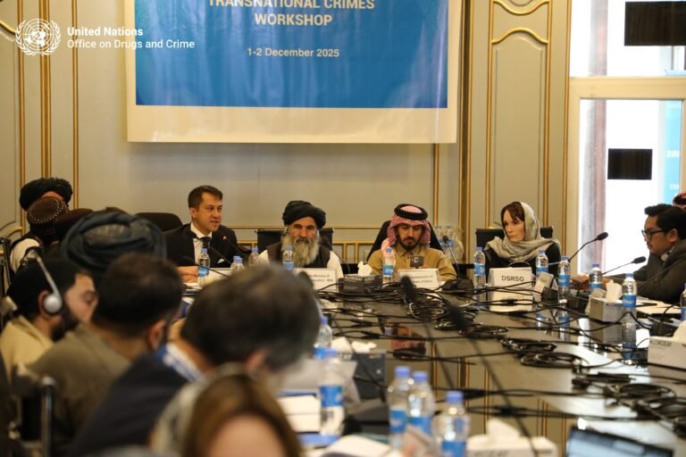 ملګري ملتونه:د نشه‌یي توکو او ترهګرۍ د تمویل پر ضد د طالبانو او نړیوالو، تخنیکي غونډه ترسره شوه