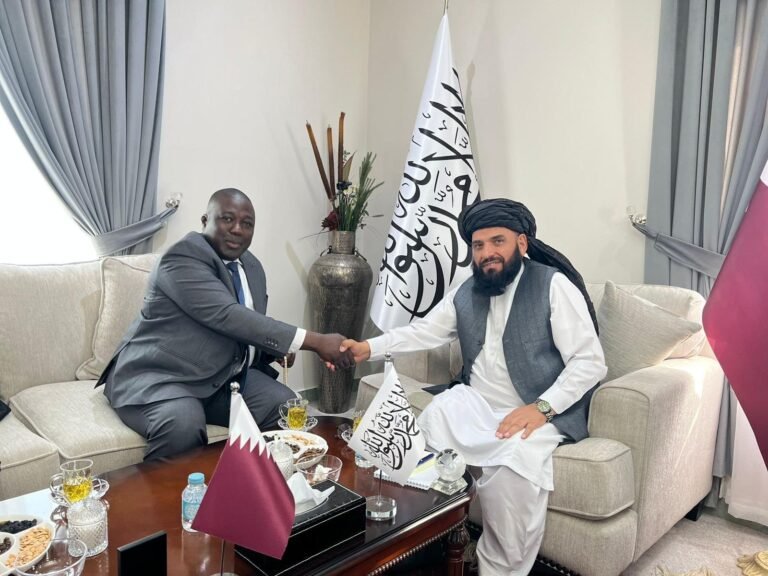 سهیل شاهین؛د بنین له سفیر سره د سیاسي او اقتصادي همکاریو پر پراختیا خبرې کړي