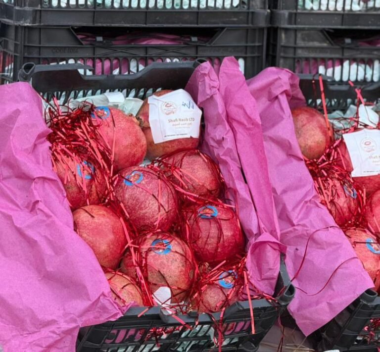 د طالبانو حکومت:د کندهار د انارو لومړۍ صادراتي محموله قطر ته ولېږدول شوه