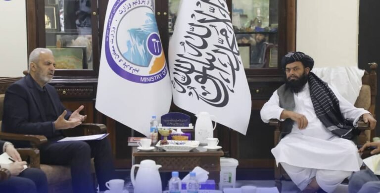 علي‌رضا بیګ‌دلي هدایت‌الله بدري ته:ایراني شرکتونه په افغانستان کې د نفت او اوسپنې پانګونې ته لېواله دي