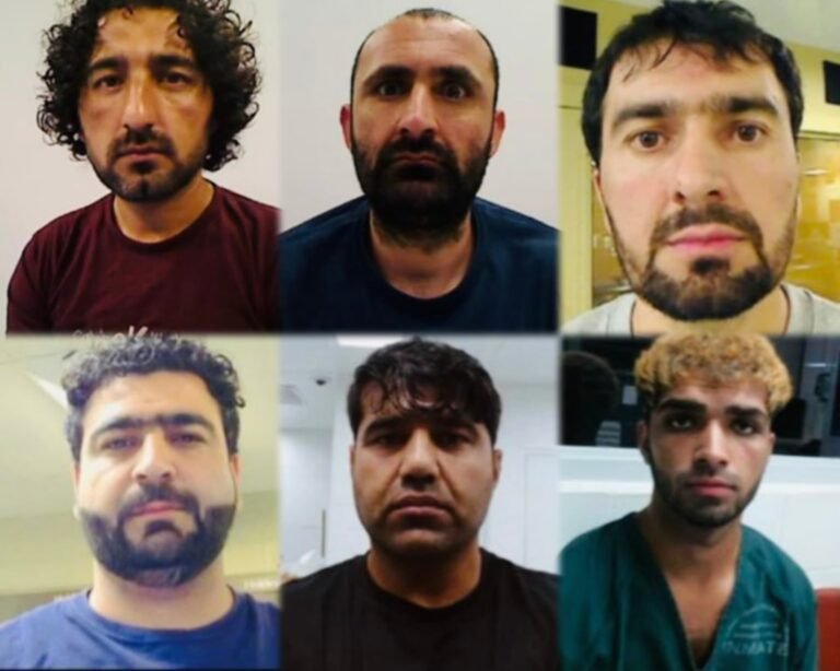 د امریکا د کورني امنیت وزارت؛شپږ تنه افغانان د جنایي سابقې له امله نیولي