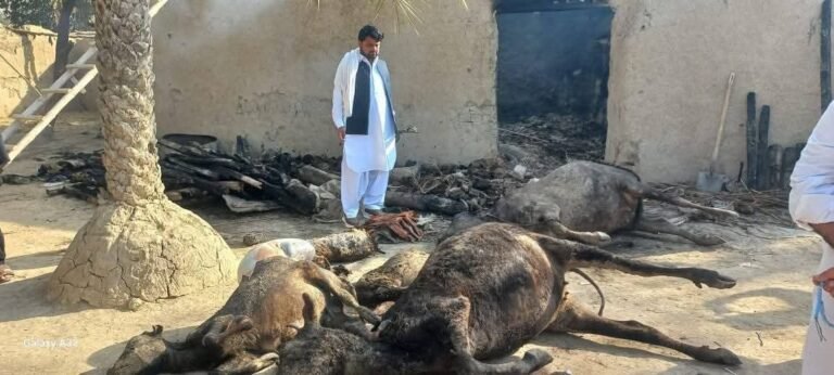 خیبر پښتونخوا؛بنو ولسوالۍ کې د سولې کمېټې د مشر پر کور د ډرون برید شوی